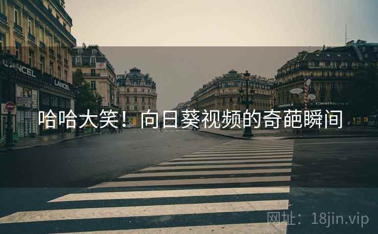 哈哈大笑！向日葵视频的奇葩瞬间