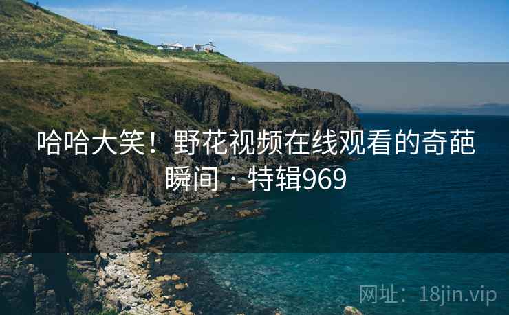 哈哈大笑！野花视频在线观看的奇葩瞬间 · 特辑969